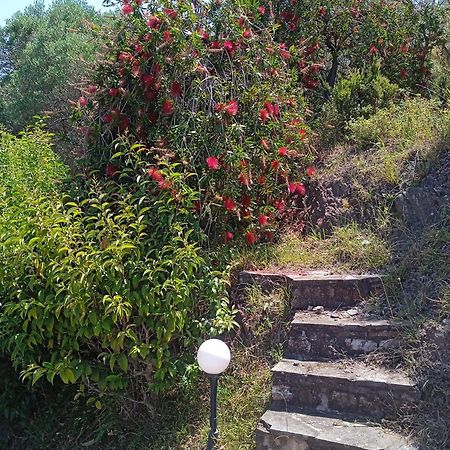 Villa Butterfly Nea Roda Zewnętrze zdjęcie