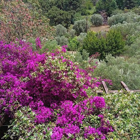 Villa Butterfly Nea Roda Zewnętrze zdjęcie