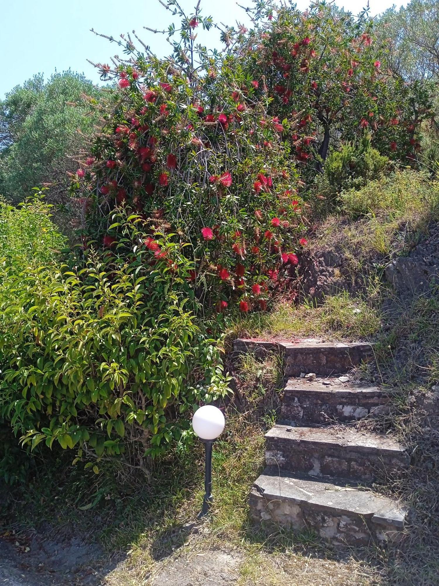 Villa Butterfly Nea Roda Zewnętrze zdjęcie